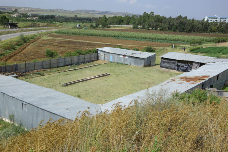 Elshadai Agricultural Site, kalamino