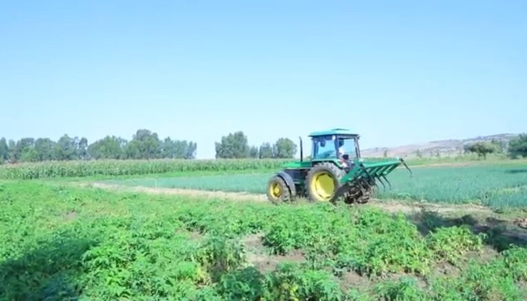 Modern Agricultural Practice at Elshadai Wukro